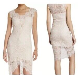 Free People Intimately Peek-a-Boo Blush Lace‎ Dress S